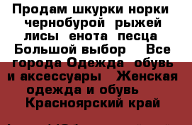 Продам шкурки норки, чернобурой, рыжей лисы, енота, песца. Большой выбор. - Все города Одежда, обувь и аксессуары » Женская одежда и обувь   . Красноярский край